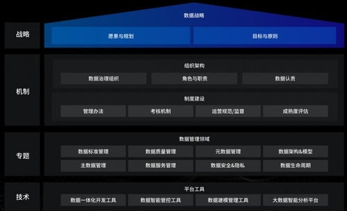 洞見未來，駕馭數據 國內優秀數據治理服務商及軟件開發指南